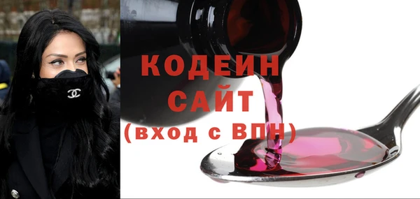 гашик Сясьстрой
