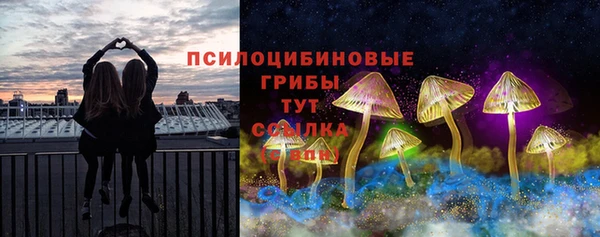 apvp Алексеевка